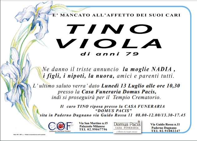 Tino Viola